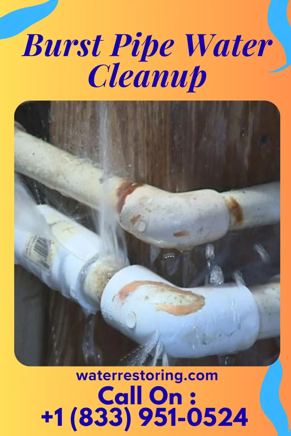 Burst Pipe Water Cleanup in Yellow Bluff, AL
